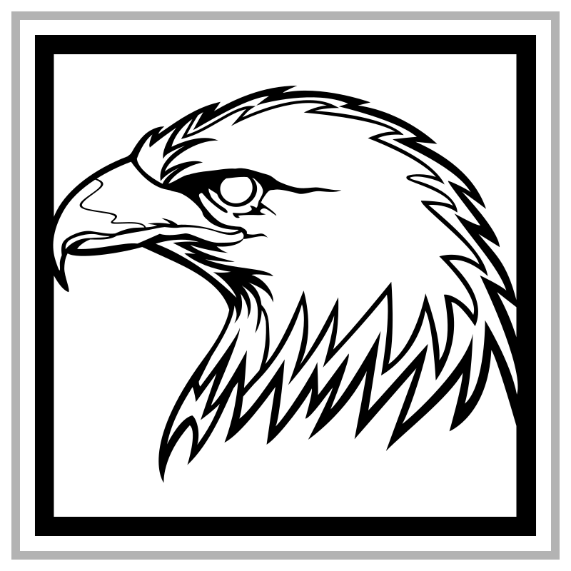 drawing a black head eagle 11005060 Vector Art at Vecteezy
